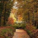 Herfstplaatjes