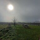 Mistig Dalfsen