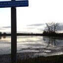 Zouden ze op meer vorst gerekend hebben? Zouden ze op meer vorst gerekend hebben?
