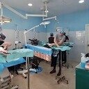Dierenarts uit Dalfsen helpt bij sterilisatieproject in Spaans hondenasiel Dierenarts uit Dalfsen helpt bij sterilisatieproject in Spaans hondenasiel