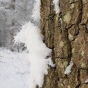 Wintermagie Den Alerdinck en de Colckhof