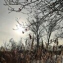 Schaatsen uit het vet