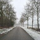 Mist
