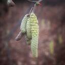 Waarnemingen van de natuurfotograaf Waarnemingen van de natuurfotograaf