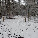 De natuur was weer mooi vandaag