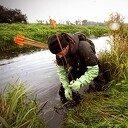 Meer muskus- en beverratten gevangen Meer muskus- en beverratten gevangen