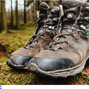 Wandelsport in Zwolle doet ook Dalfsen weer aan