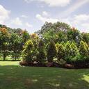 Composiet voor je tuin en gevel: onderhoudsvrij genieten van buiten Composiet voor je tuin en gevel: onderhoudsvrij genieten van buiten