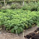 Nieuws van de Natuurboerderij Nieuws van de Natuurboerderij