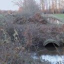 Het waterschap ook druk aan het snoeien