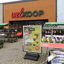 De mooie periode voor planten komt eraan De mooie periode voor planten komt eraan