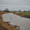 Goudentijden voor de natuurfotograaf komt er aan Goudentijden voor de natuurfotograaf komt er aan