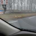 Pallet van trekker gevallen, bestuurder gezocht Pallet van trekker gevallen, bestuurder gezocht