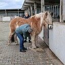 Een maand is altijd zo weer voorbij Een maand is altijd zo weer voorbij