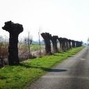 Fietstocht van Nieuwleusen, Zwolle Dalfsen en weer terug bij de start