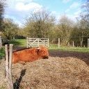 Wandelnetwerk met verschillende routes Wandelnetwerk met verschillende routes