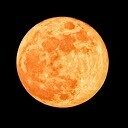 Bloedmaan Bloedmaan