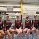 Turnsters gym. ver. Nieuwleusen presteren uitstekend Turnsters gym. ver. Nieuwleusen presteren uitstekend