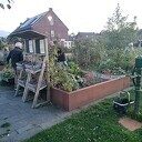 Samen tuinieren in Oosterdalfsen: doe je mee? Samen tuinieren in Oosterdalfsen: doe je mee?