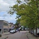 Gemeente heeft kapvergunning ingetrokken Gemeente heeft kapvergunning ingetrokken