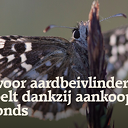 Stichting Landschap Overijssel heeft drie percelen aangekocht