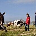Bijna een kilometer aan voederhagen bij De Hoeven