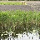 Buiten is het lekker opgefrist, maar droogte houdt aan