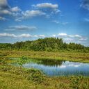 Wandeling nabij Takkenhoogte Wandeling nabij Takkenhoogte