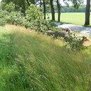 Op de Rechterensedijk had de brandweer meer werk Op de Rechterensedijk had de brandweer meer werk