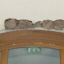 Eigen huisje bouwen Eigen huisje bouwen