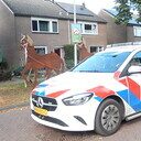 De nieuwste foto’s straatversiering Oudleusen