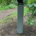 Zijn boommarters echt niet te stoppen? Nieuwe beelden! Zijn boommarters echt niet te stoppen? Nieuwe beelden!