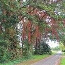 Herfst in aantocht Herfst in aantocht