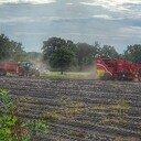 Aardappels rooien aan de Wethouder Bijkersweg